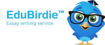 Edubirdie Detector Plagio Logo